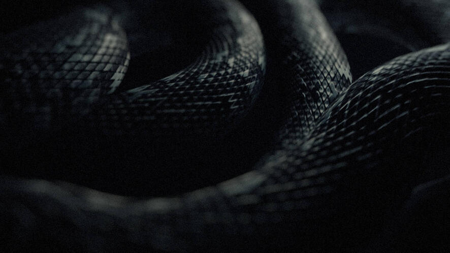 Faucibus nisl tincidunt